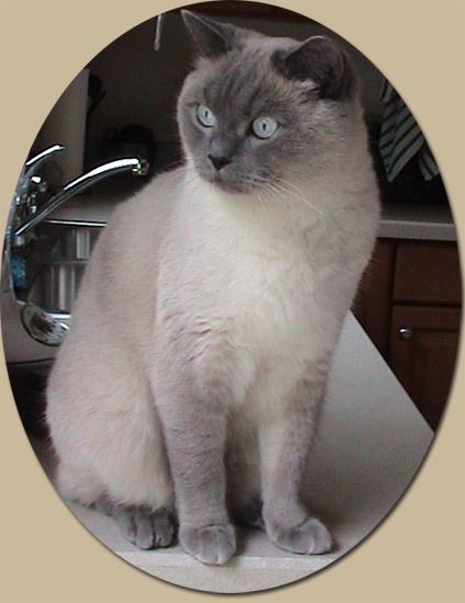 Kfitzi