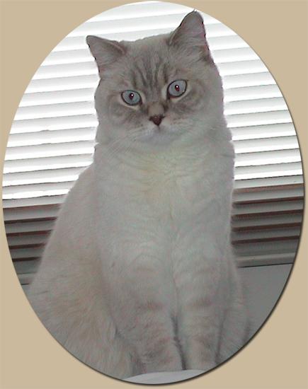 Milki