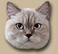 Milki