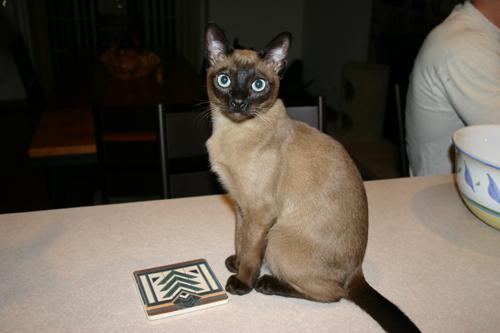 Bisli