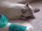 Milki cleaning
