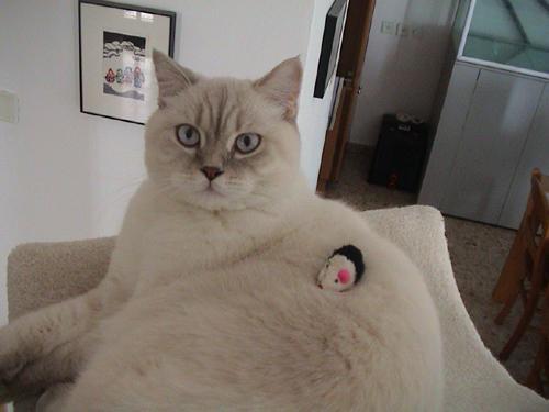 milki
