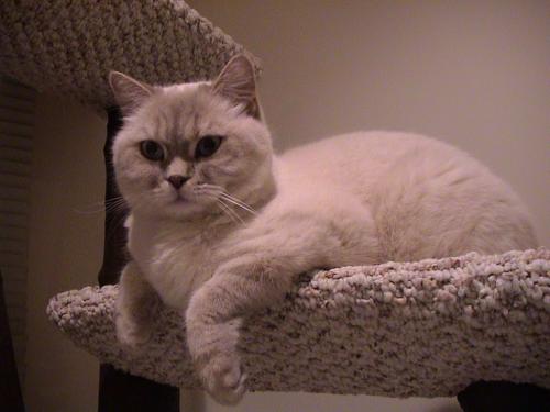 milki