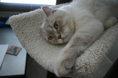 milki