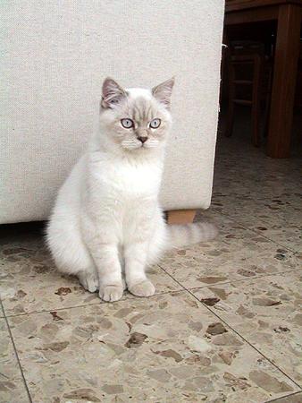 milki