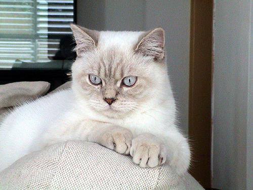 milki