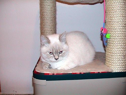 milki