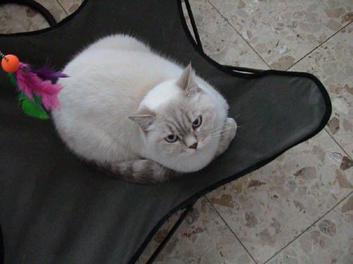 milki