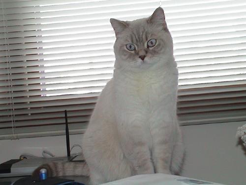 milki