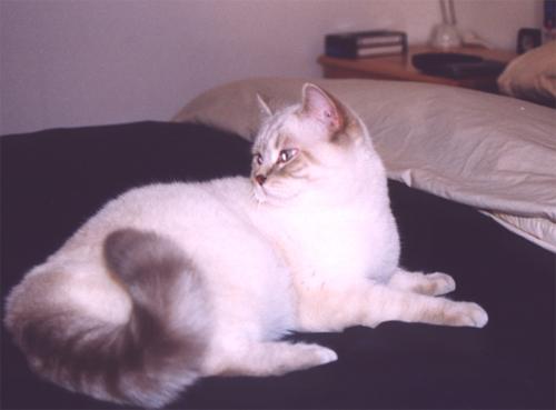 milki