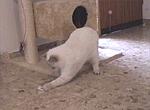 Milki April 2002