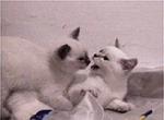 Milki and Kfitzi Nov. 2001