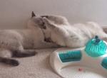 Milki and Kfitzi playing